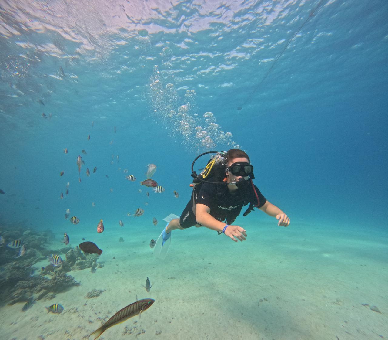 Scuba diving among tropical fish at Hurghada coral reef