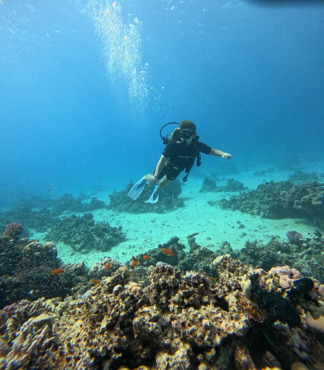Intro diving experience in the Red Sea